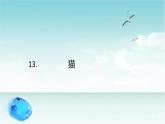 13.猫   课件（2课时 7 8张ppt）