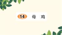 人教部编版四年级下册14 母鸡图片课件ppt