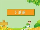 5 琥珀    习题课件(图片版 共21张PPT)