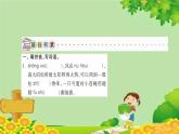 5 琥珀    习题课件(图片版 共21张PPT)