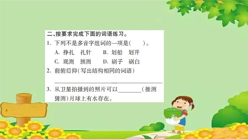 5 琥珀    习题课件(图片版 共21张PPT)第5页