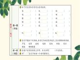 19. 小英雄雨来（节选）   习题课件(图片版 共12张PPT)