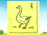 15 白鹅   课件（38张PPT）