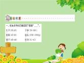 19  小英雄雨来（节选）   习题课件(图片版 共20张PPT)
