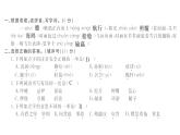 统编版六年级下册语文训练课件-单元 期中测试密卷 (9份打包)