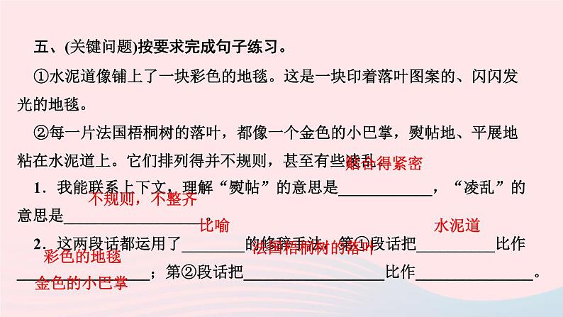 三年级语文上册第二单元5铺满金色巴掌的水泥道作业课件新人教版第7页