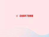 統(tǒng)編版三年級語文上冊第四單元作業(yè)課件（4份打包  圖片版）