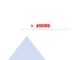 统编版三年级上册语文-第五单元习题课件（3份，可编辑）