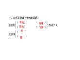 统编版三年级上册语文-第五单元习题课件（3份，可编辑）