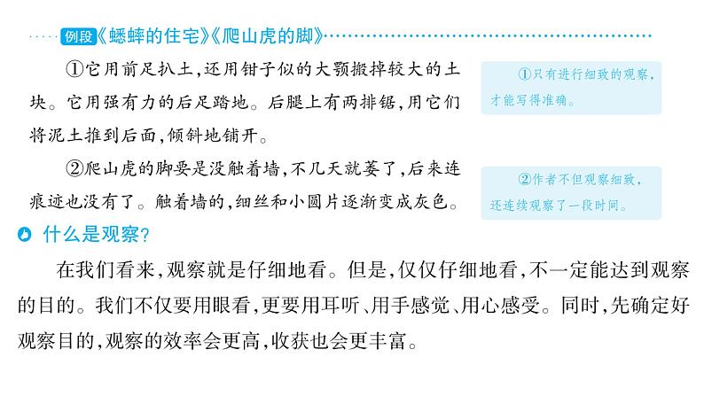 部编版语文四年级上册单元主题阅读第三单元  连续观察  课件（52张PPT)02