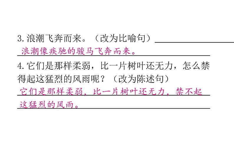 统编版语文四年上册期中达优测试题 课件(18张 ppt）第8页