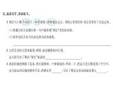 統(tǒng)編版四年級(jí)上冊(cè)語(yǔ)文習(xí)題課件-第6單元  (7份打包)