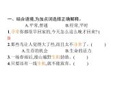 统编版语文五年级上册语文园地训练提升 课件（7份打包）