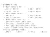統(tǒng)編版語文五年級上冊 第四單元測試密卷  課件  （14張）