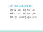統(tǒng)編版五年級下冊語文第八單元習題課件（5份打包）