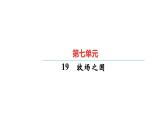 統(tǒng)編版五年級下冊語文第七單元習(xí)題課件（5份打包）