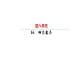 統(tǒng)編版五年級(jí)下冊(cè)語(yǔ)文第六單元習(xí)題課件（5份打包）