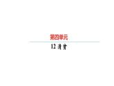 统编版五年级下册语文第四单元习题课件（6份打包）