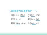 统编版五年级下册语文第四单元习题课件（6份打包）