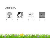 部編版五年級(jí)下冊(cè)語文第三單元 訓(xùn)練提升課件（圖片版   5份打包）