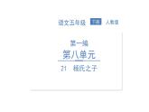統(tǒng)編版語文五年級下冊第八單元訓練提升課件（圖片版  7份打包）