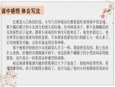 第五单元 习作例文 小守门员和他的观众 课件 (共9张PPT)