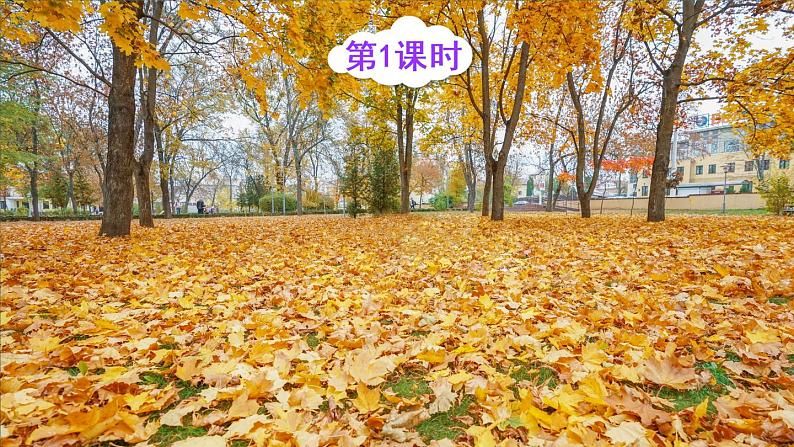 部编版语文三年级上册  语文园地二  课件PPT+教案02