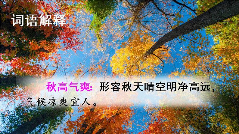 部编版语文三年级上册  语文园地二  课件PPT+教案04