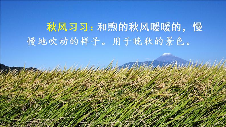 部编版语文三年级上册  语文园地二  课件PPT+教案06