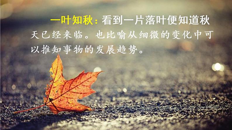 部编版语文三年级上册  语文园地二  课件PPT+教案07