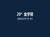 20 金字塔 课件（14张）