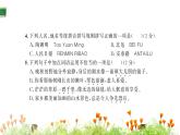 统编版语文六年级上册第八单元 素养提升卷 课件（单元 期中 期末）（共10份打包）