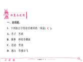 2020-2021學(xué)年六年級(jí)下冊(cè)人教版語文習(xí)題課件 第4單元（共7份打包）  圖片版