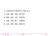 2020-2021學(xué)年六年級(jí)下冊(cè)人教版語文習(xí)題課件 第4單元（共7份打包）  圖片版
