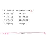 2020-2021学年六年级下册人教版语文习题课件 第3单元（共6份打包）  图片版