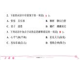 2020-2021学年六年级下册人教版语文习题课件 第2单元  （5份打包）  图片版