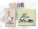 白鹅课件 部编版语文四年级下册