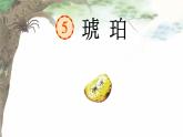 琥珀课件 部编版语文四年级下册