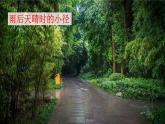 在天晴了的时候课件 部编版语文四年级下册