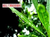 在天晴了的时候课件 部编版语文四年级下册