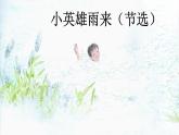 小英雄雨来（节选）课件 部编版语文四年级下册