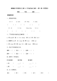 人教部编版六年级上册11 宇宙生命之谜同步测试题