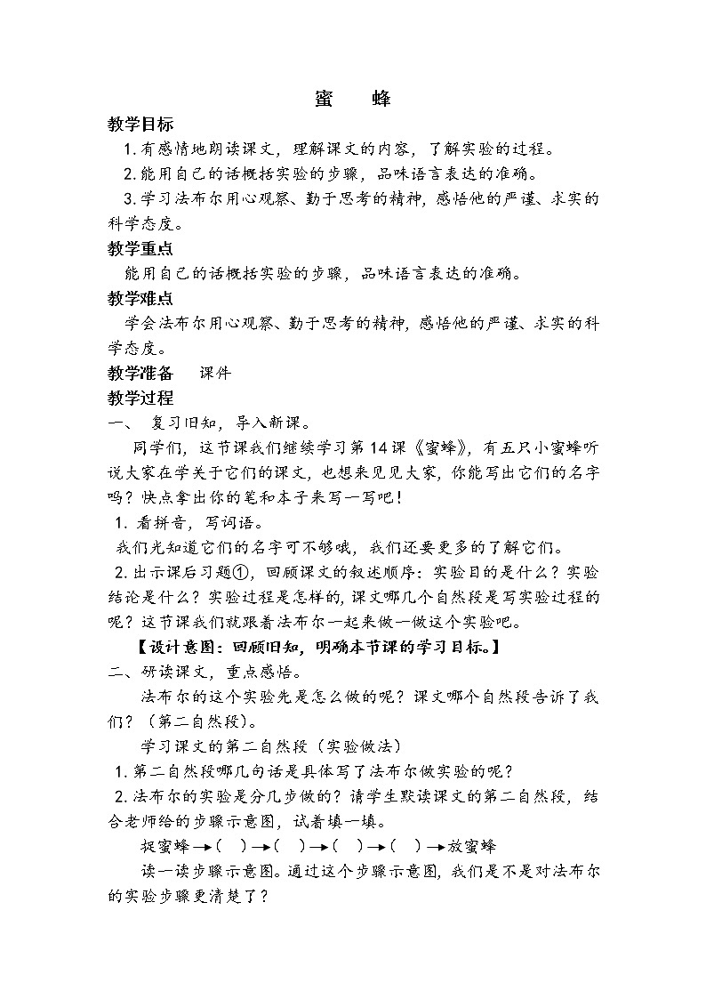14 蜜蜂 教案01