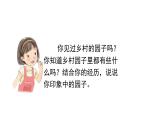 祖父的园子 课件 部编版语文五年级下册