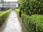 祖父的园子 课件 部编版语文五年级下册