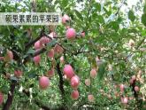 祖父的园子 课件 部编版语文五年级下册