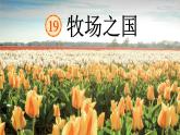牧场之国 课件 部编版语文五年级下册
