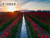 牧场之国 课件 部编版语文五年级下册