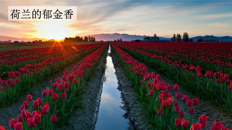 牧场之国 课件 部编版语文五年级下册第4页