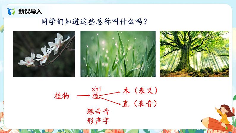 《植物妈妈有办法》第一课时课件+教案03